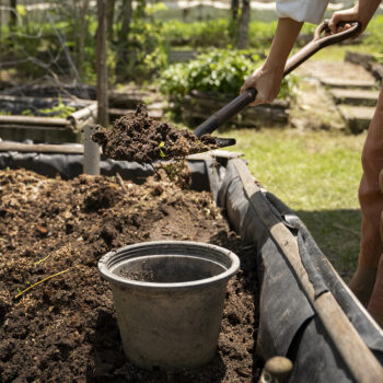 Kertépítés Kertépítés