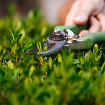 Kertfenntartás Kertfenntartás